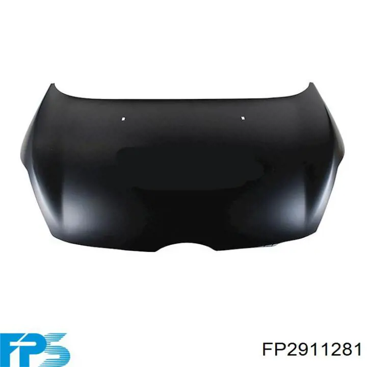 FP2911281 FPS Capota