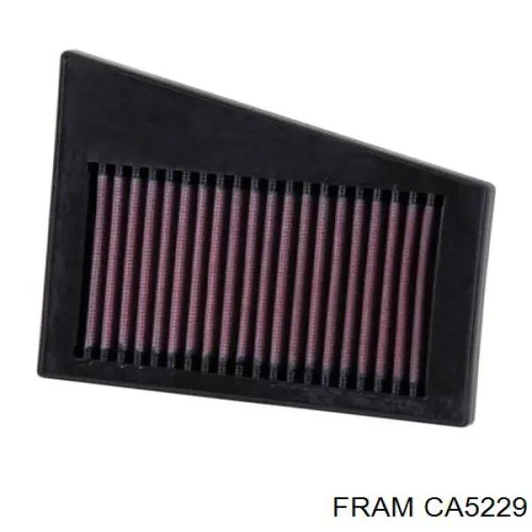 Filtro de ar CA5229 Fram