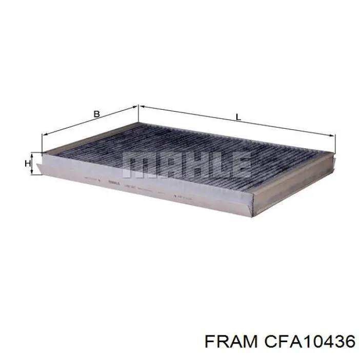 Compre CFA10436 Fram Filtro de salão