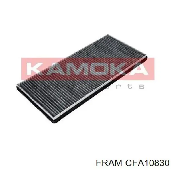 CFA10830 Fram Filtro de salão