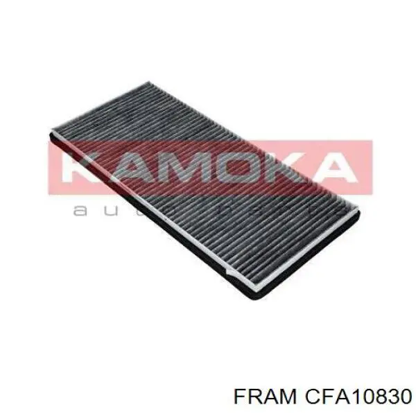 Compre CFA10830 Fram Filtro de salão