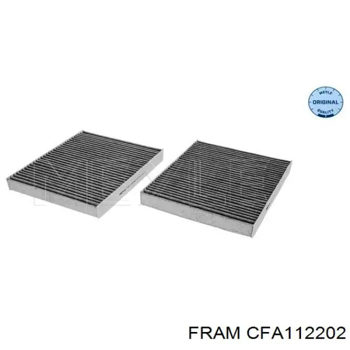Compre CFA112202 Fram Filtro de salão