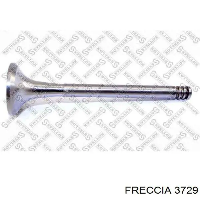 Válvula de escape Freccia 3729 preço, a partir de 13,21 USD