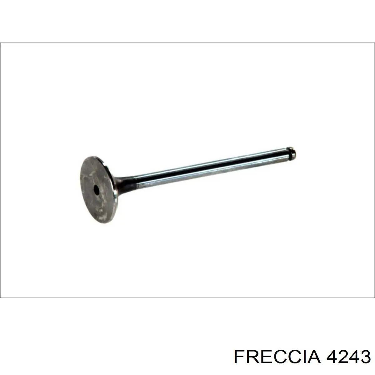 Válvula de admissão Freccia 4883 preço, a partir de 5,89 USD