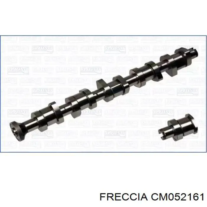 Árvore distribuidora de motor Freccia CM052161 preço, a partir de 257,85 USD