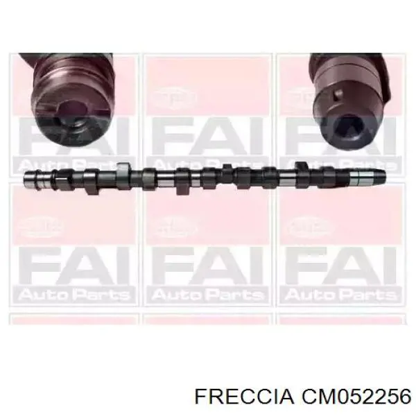 Compre CM052256 Freccia Árvore distribuidora de motor
