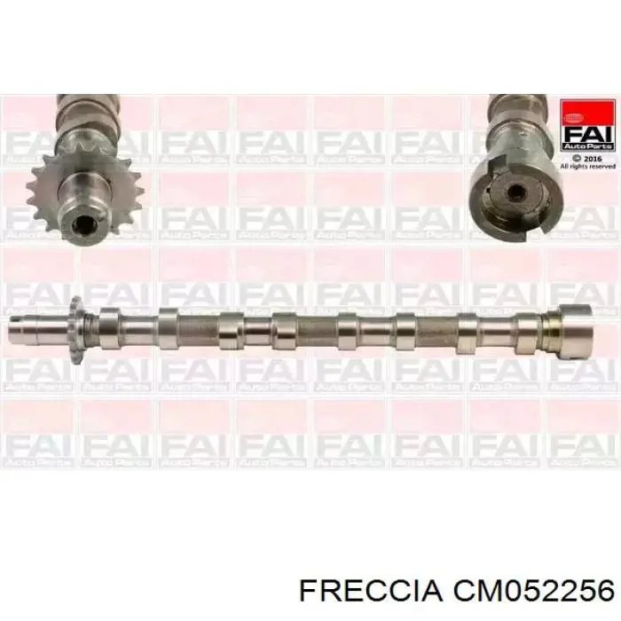 Compre CM052256 Freccia Árvore distribuidora de motor