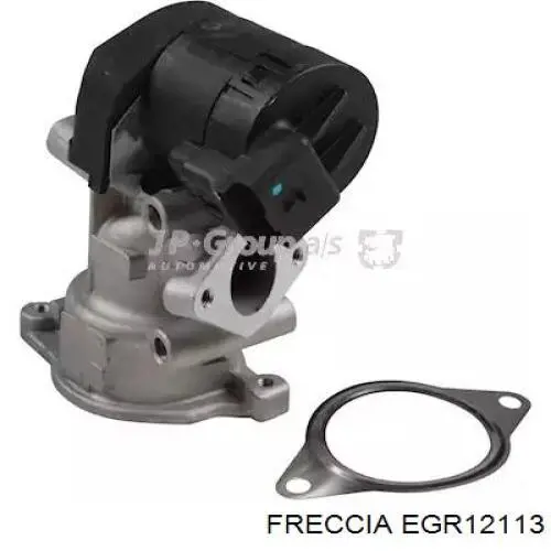 EGR12113 Freccia Válvula EGR de recirculação dos gases