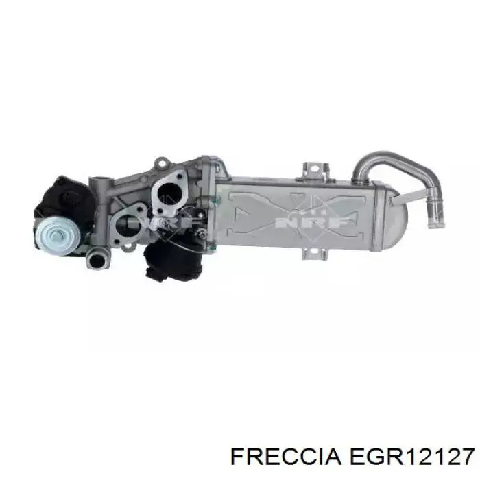 EGR12127 Freccia Radiador do sistema EGR de recirculação dos gases de escape