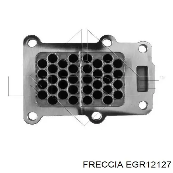 Compre EGR12127 Freccia Radiador do sistema EGR de recirculação dos gases de escape