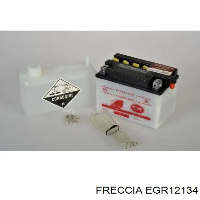 Compre EGR12134 Freccia Válvula EGR de recirculação dos gases
