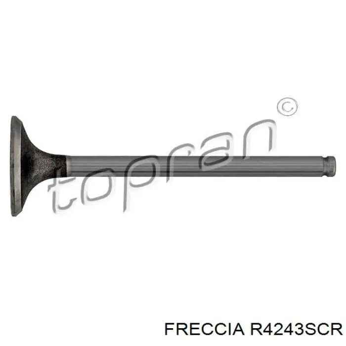 Compre 4883 Freccia Válvula de admissão