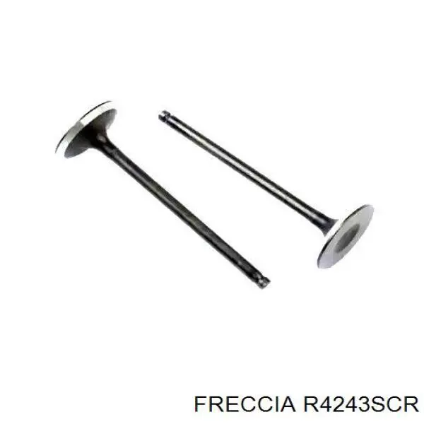 Compre R4243SCR Freccia Válvula de admissão