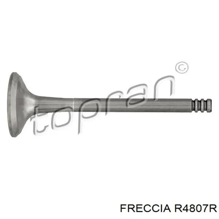 Válvula de escape Freccia 4807 preço, a partir de 7,54 USD