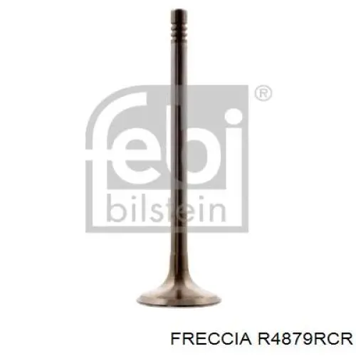 Válvula de escape Freccia R4879RCR preço, a partir de 6,34 USD