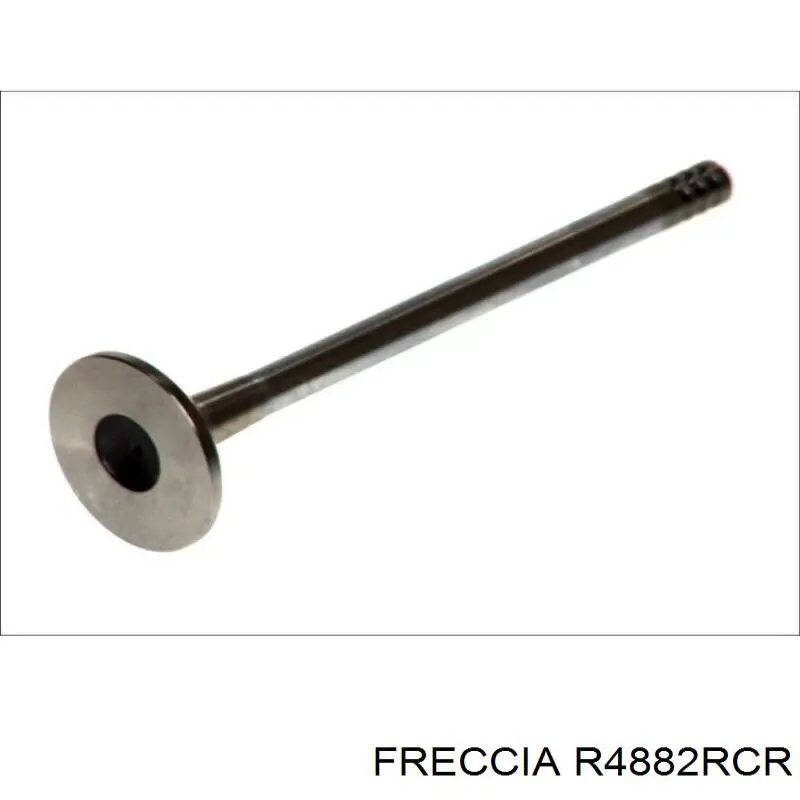 Compre R4882RCR Freccia Válvula de escape