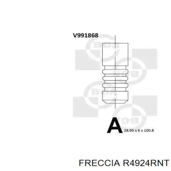 Compre R4924RNT Freccia Válvula de escape