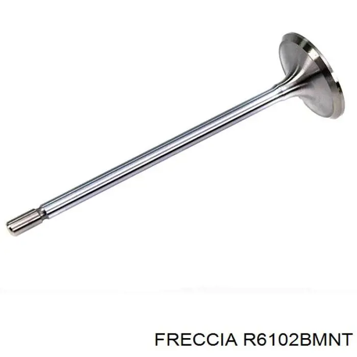Compre R6102BMNT Freccia Válvula de admissão