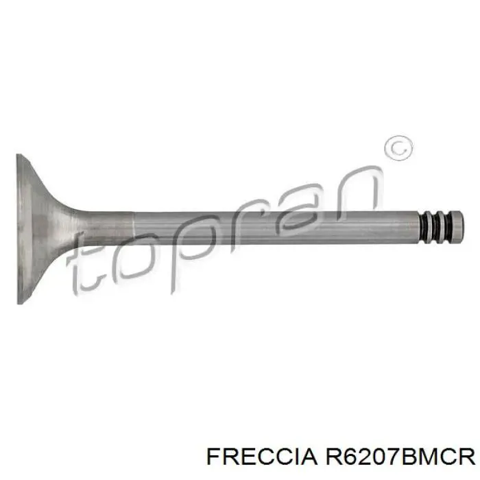 Válvula de escape Freccia R6207BMCR preço, a partir de 14,29 USD