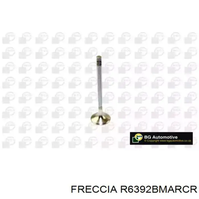 6392 Freccia Válvula de escape
