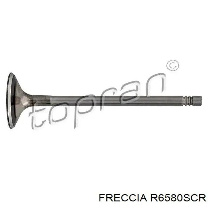 Válvula de admissão Freccia R6580SCR preço, a partir de 13,02 USD