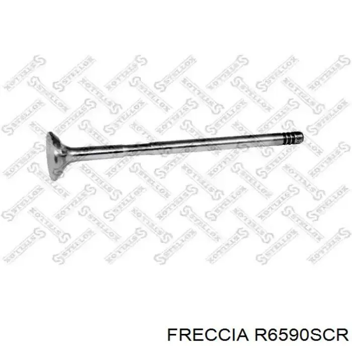 Compre 55225891 Fiat/Alfa/Lancia Válvula de admissão