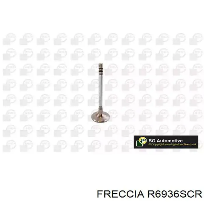 R6936SCR Freccia Válvula de admissão