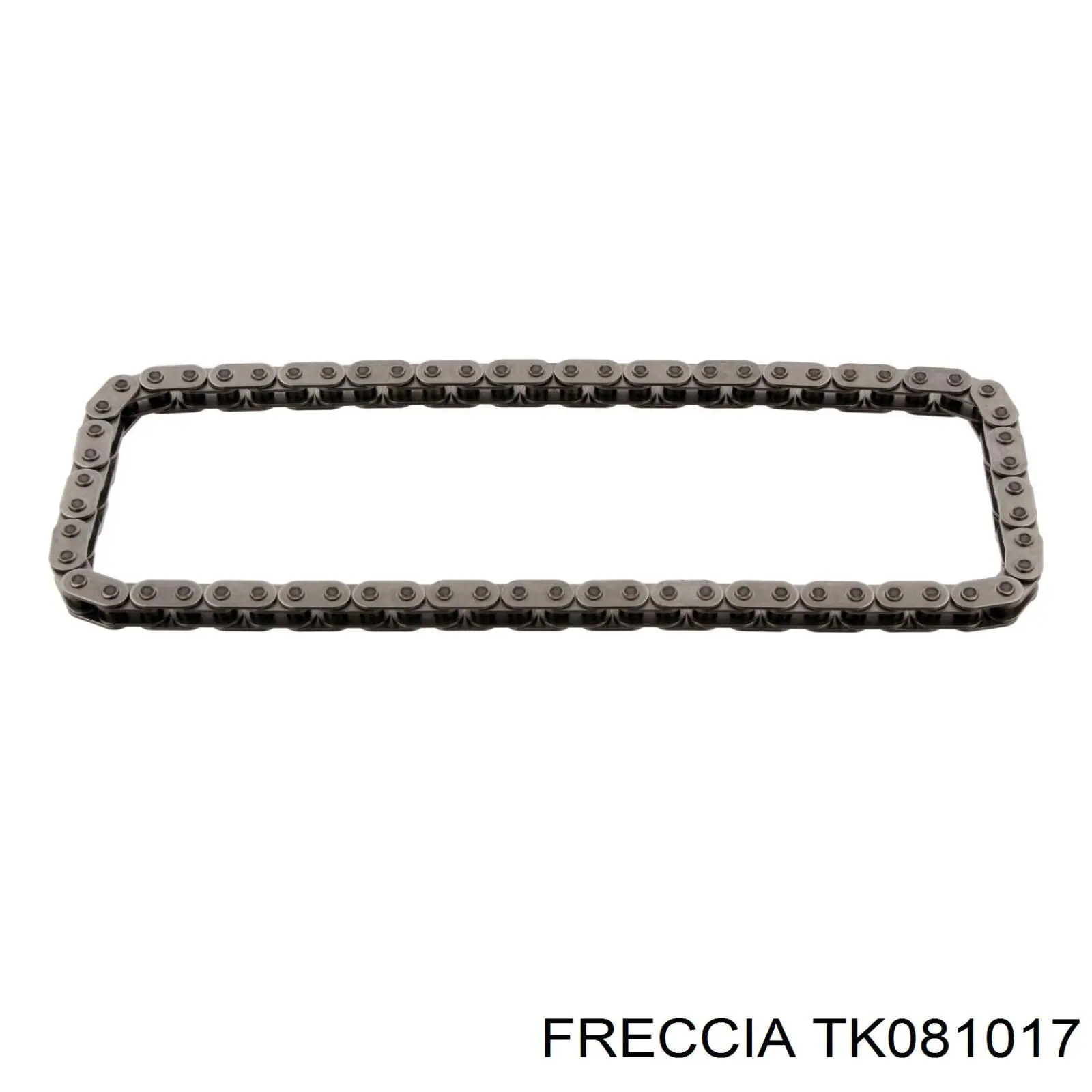 Compre TK081017 Freccia Cadeia do mecanismo de distribuição de gás, kit