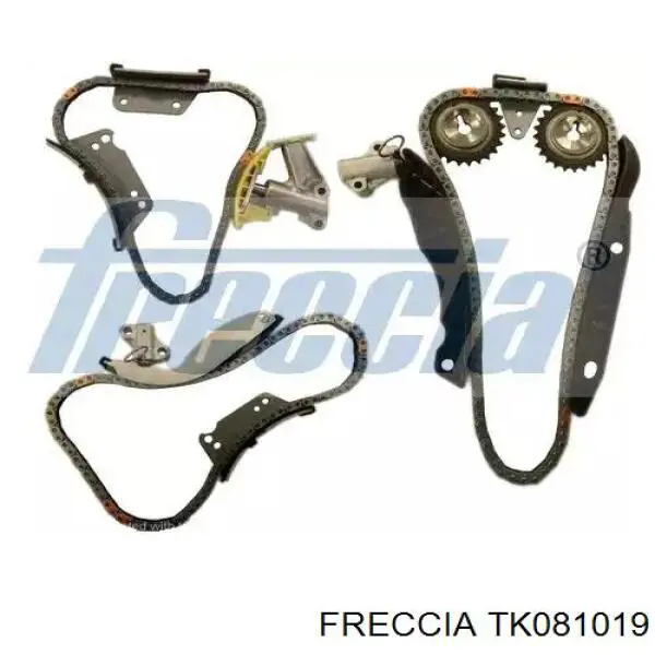 TK081019 Freccia Cadeia do mecanismo de distribuição de gás, kit
