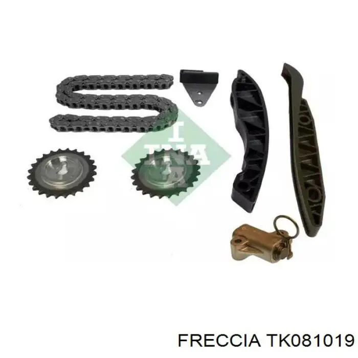 Compre TK081019 Freccia Cadeia do mecanismo de distribuição de gás, kit