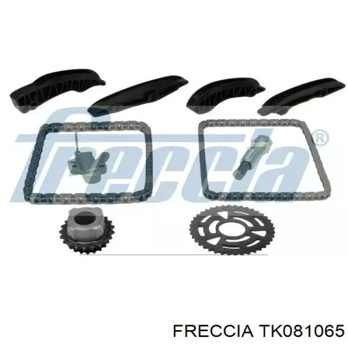 Compre 559020610 INA Cadeia do mecanismo de distribuição de gás, kit