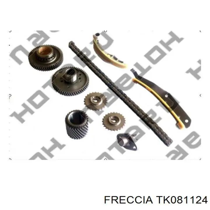 Compre TK081124 Freccia Cadeia do mecanismo de distribuição de gás, kit