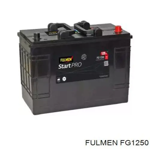 TG1250 Exide Bateria recarregável (PILHA)