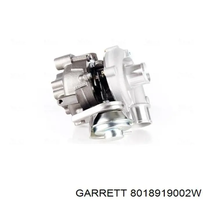 8018919002W Garrett Turbina