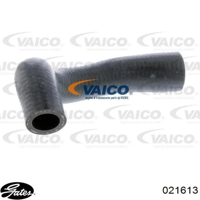 Compre A6112031182 Mercedes Tubo (mangueira) do radiador de óleo, desde o bloco até o radiador