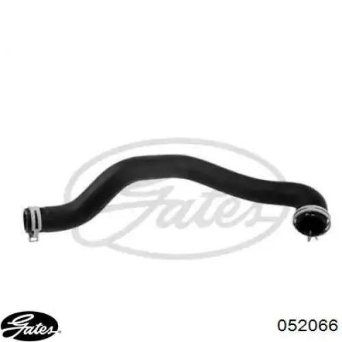 8V218B274AB Ford Mangueira (cano derivado) do radiador de esfriamento superior
