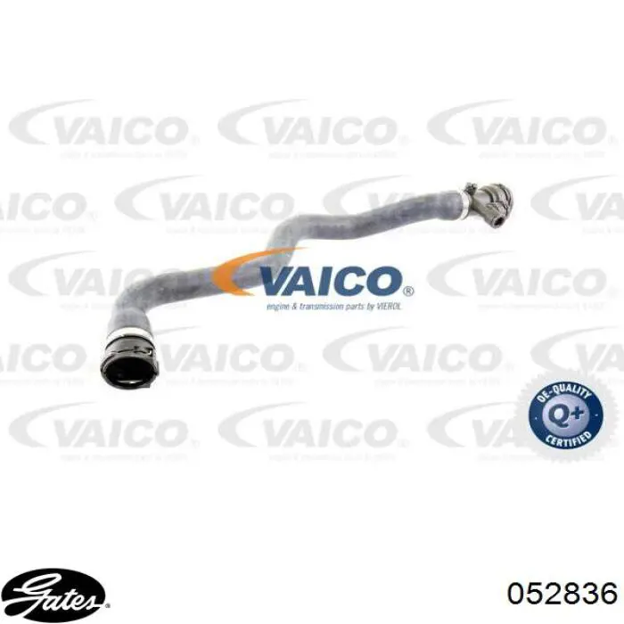 Mangueira (cano derivado) do radiador de esfriamento superior Gates 052836 preço, a partir de 41,05 USD
