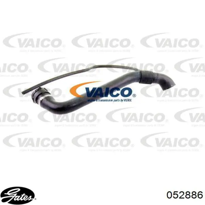 Compre 052886 Gates Mangueira (cano derivado) do radiador de esfriamento superior