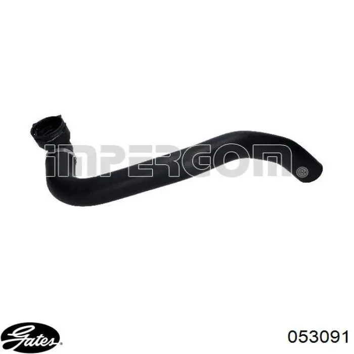 51817696 Fiat/Alfa/Lancia Mangueira (cano derivado) inferior do radiador de esfriamento