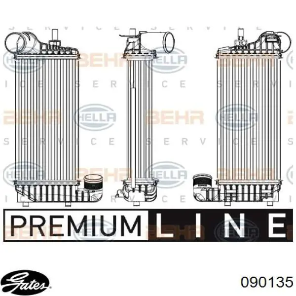 FS44864 DP Group Mangueira (cano derivado) de intercooler