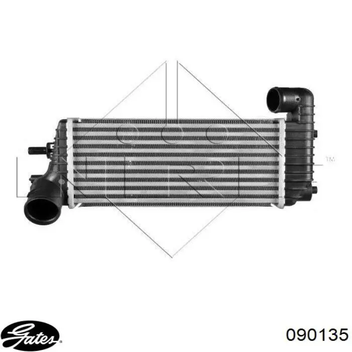 Mangueira (cano derivado) de intercooler FS44864 DP Group