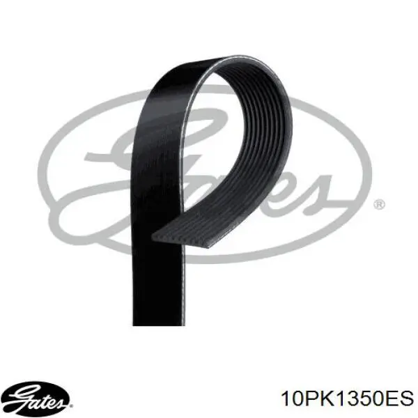 Correia dos conjuntos de transmissão Continental/Siemens 10PK1350 preço, a partir de 26,35 USD
