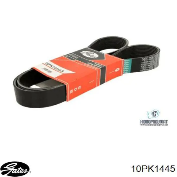Compre 10PK1440 Dayco Correia dos conjuntos de transmissão