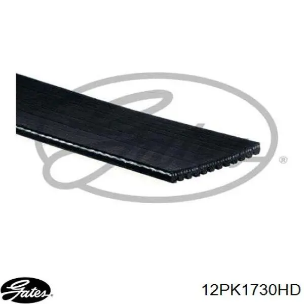 Correia dos conjuntos de transmissão Dayco 12PK1730HD preço, a partir de 61,55 USD