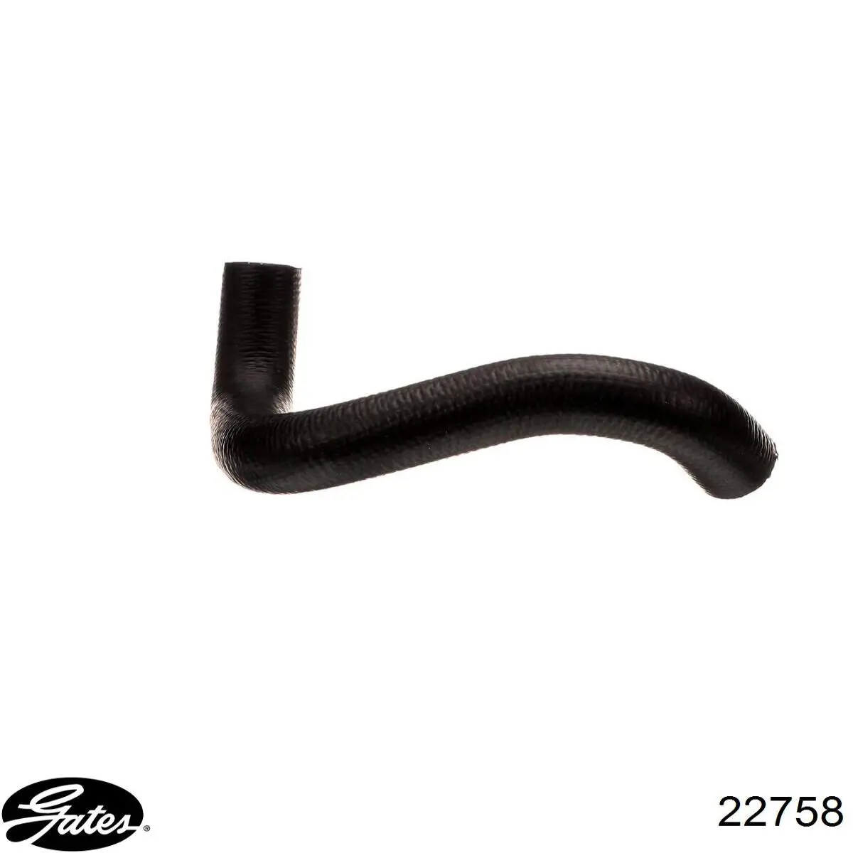 Compre 22758 Gates Mangueira (cano derivado) inferior do radiador de esfriamento