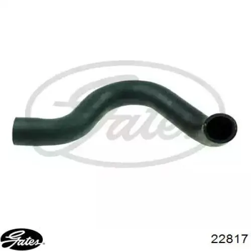Mangueira (cano derivado) do radiador de esfriamento superior Gates 22817 preço, a partir de 24,04 USD