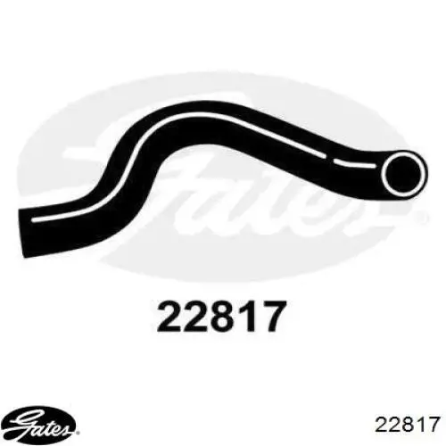 Compre 22817 Gates Mangueira (cano derivado) do radiador de esfriamento superior