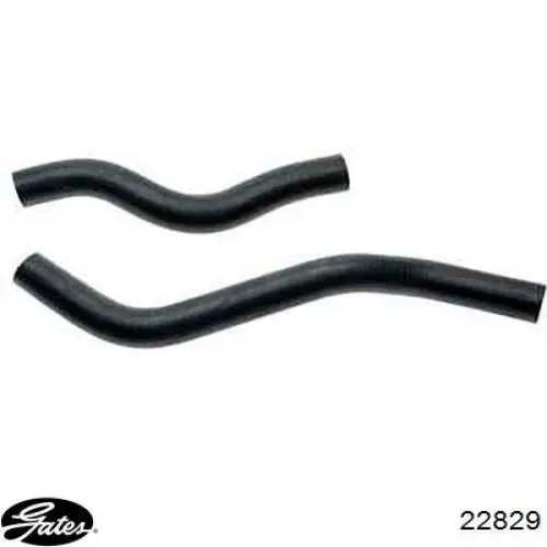 Mangueira (cano derivado) do radiador de esfriamento superior Gates 22829 preço, a partir de 18,51 USD