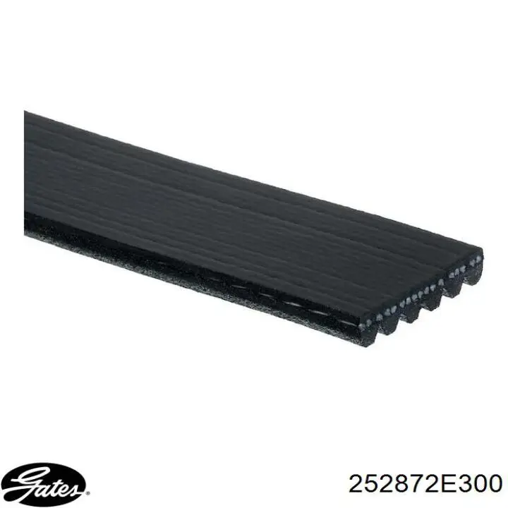 252872E300 Gates Rolo de reguladora de tensão da correia de transmissão
