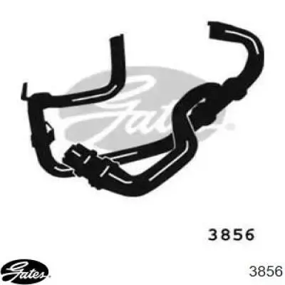 Mangueira (cano derivado) do radiador de esfriamento superior Gates 3856 preço, a partir de 51,17 USD
